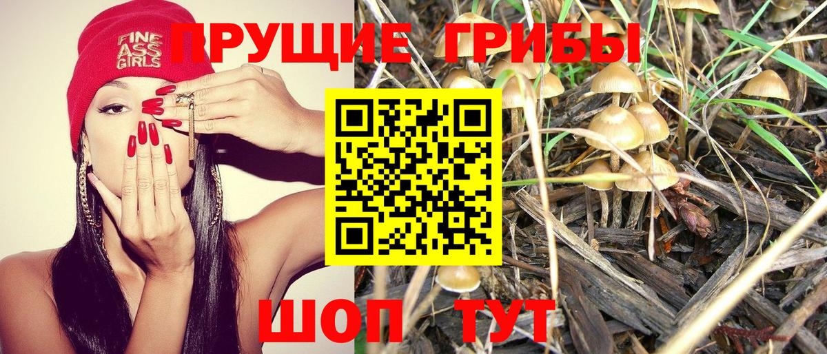 Псилоцибиновые грибы Psilocybine cubensis  Вход с VPN  Дзержинский 